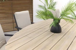 GI Sergio / Edison 220 x 115 cm. tafel - ovale tuinset