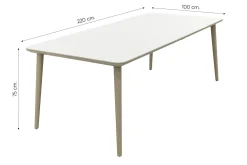 Noa/Sofia stapelbare wicker dining tuinset voor 6 personen 220x100 cm. - Latte