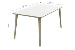 Noa/Sofia stapelbare wicker 4-persoons dining tuinset 160x90 cm. - Latte