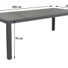 President tuintafel 220 x 100 cm.