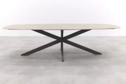 4 Seasons Nevada low dining - keramisch Deens ovale tuintafel 250x105 cm. - Terre